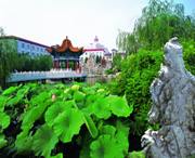 津南城市风景