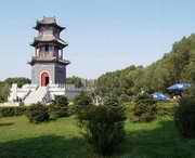榆树城市风景