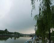 鱼台城市风景