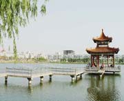 曹县城市风景