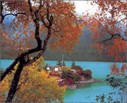 墨脱城市风景