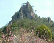 莲都城市风景