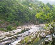 花山城市风景