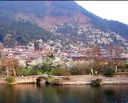 贵定城市风景